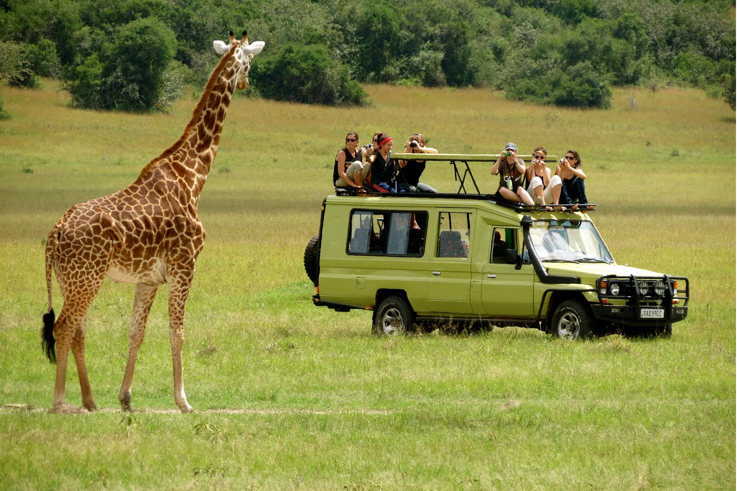 Day Tanzania Safari To Serengeti