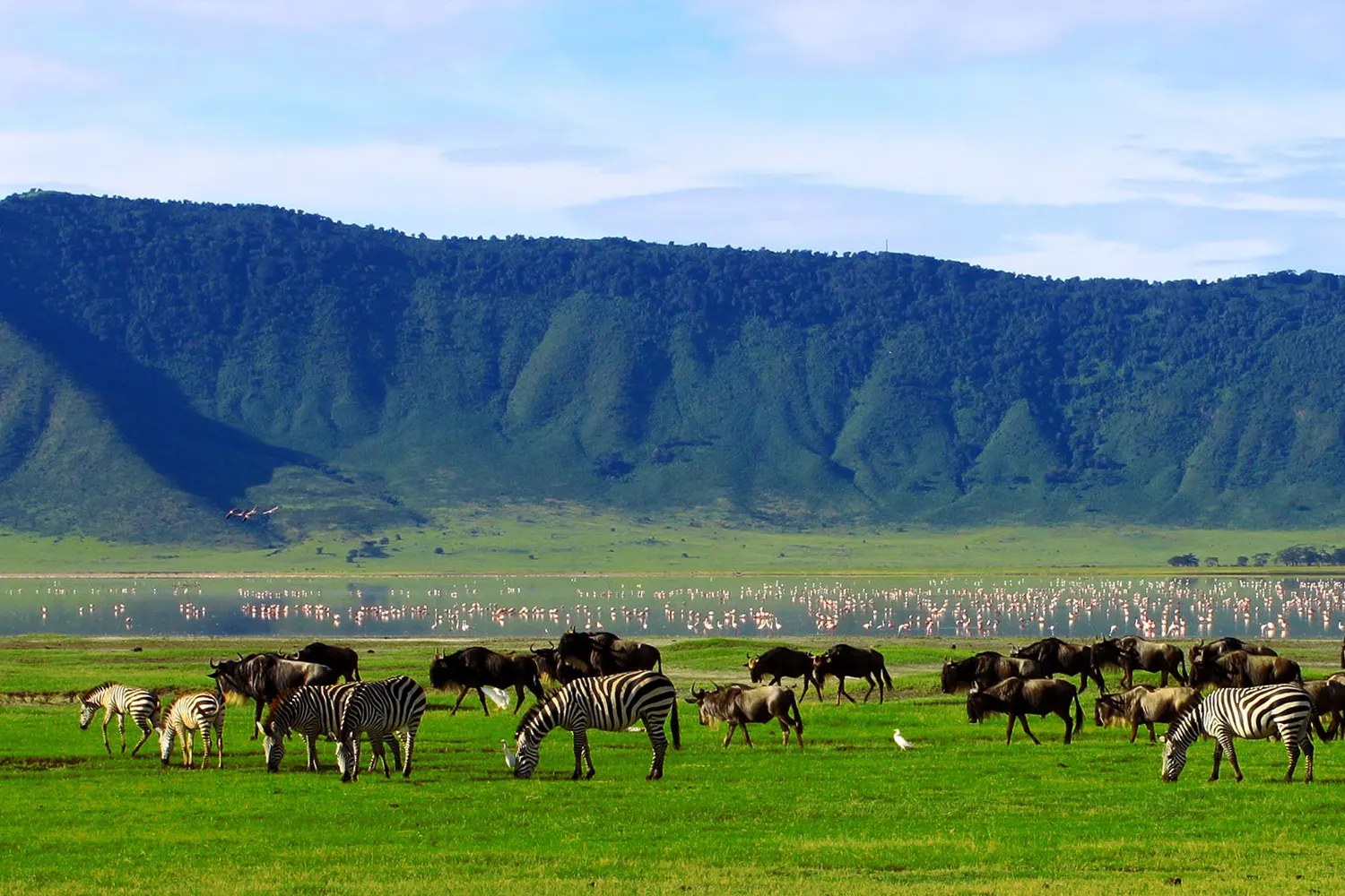 Day Trip To Ngorongoro Crater